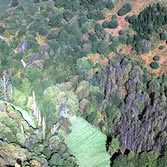 Ancares Lucenses - La espesura del bosque autóctono