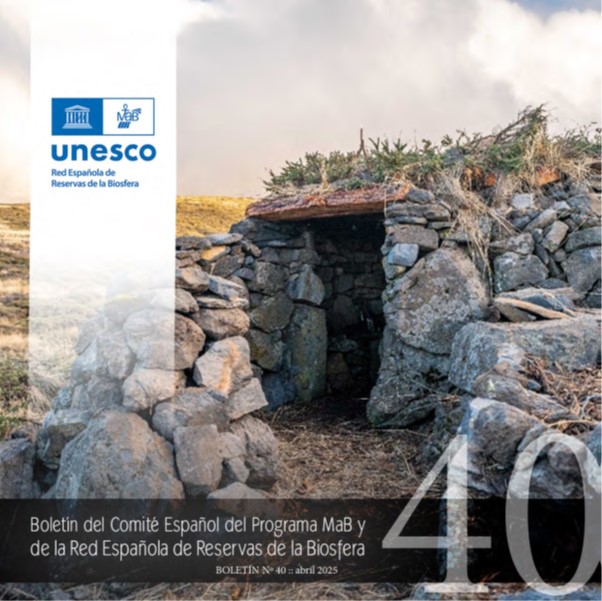 Portada boletin 40