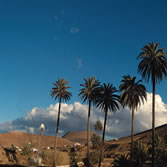 Fuerteventura - Paisaje de la isla