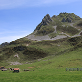 Ponga - Monte Arcenorio