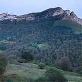 Ponga - Monte Peloño